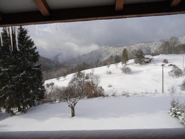 Altenbach Chalet Contemporain Plein Nature מראה חיצוני תמונה